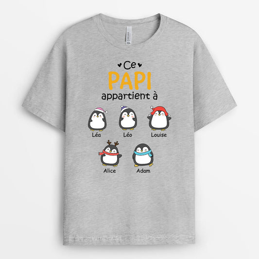 1542AFR2 t shirt ce papa papy appartient a version penguin personnalise