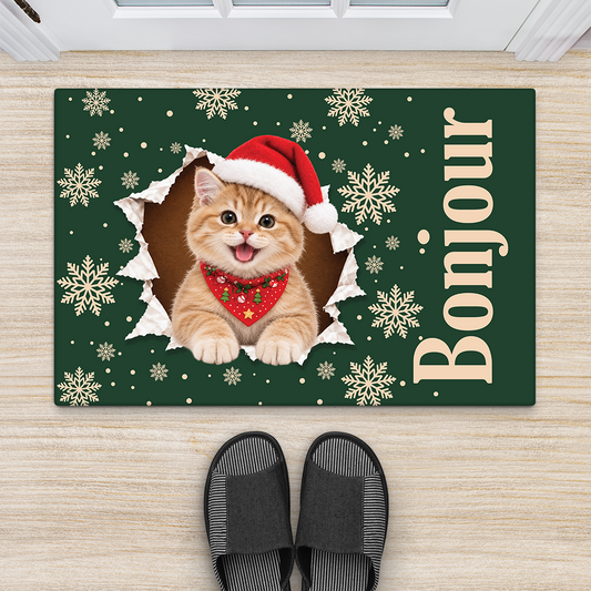 15875DN ProDoormat CouFR RnDNone IdeNgoc NicPet