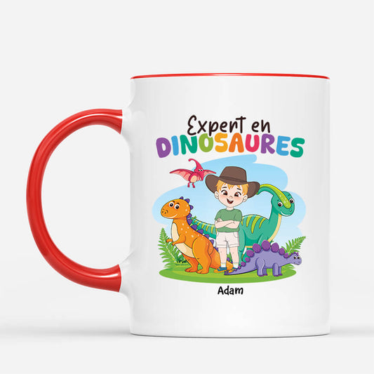 2675MFR2 experte en dinosaures mug enfant fille personnalise