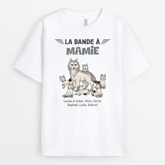 2731AFR1 t shirt personnalise la bande a mamie papy loup 2731akv5a