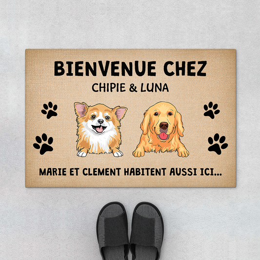 2910DFR1 les chiens habitent aussi ici paillasson avec chien personnalise