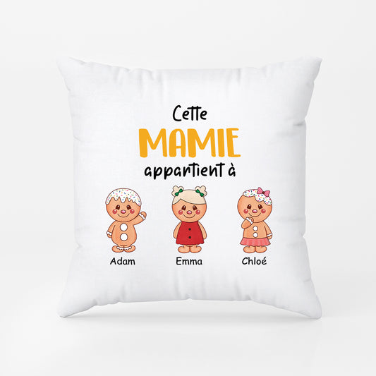2977PFR1 cette mamie appartient a version biscuits coussin personnalisable pour mamie