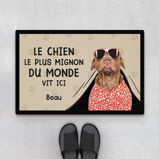 3542DFR1 le chien le plus mignon du monde vit ici t shirt chien personnalise