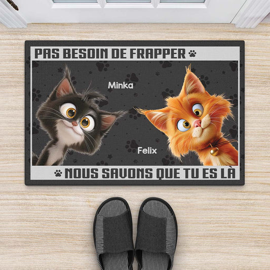 3860DFR2 paillasson personnalise chat pas besoin de frapper design cartoon 3860d5m5d