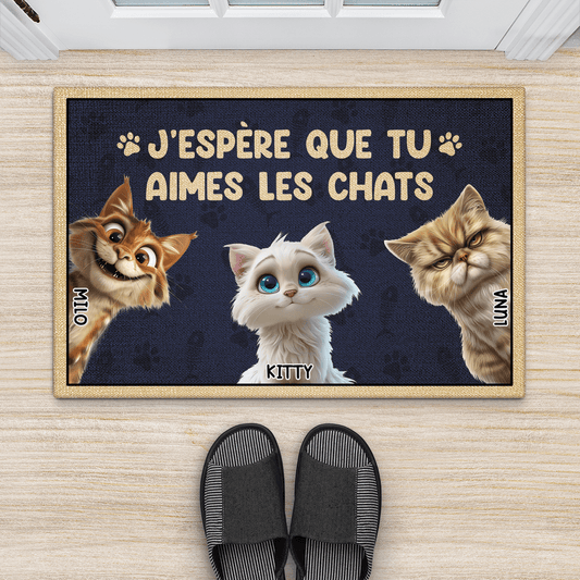 3872DFR2 paillasson personnalise aimer les chats 3872DTN5D