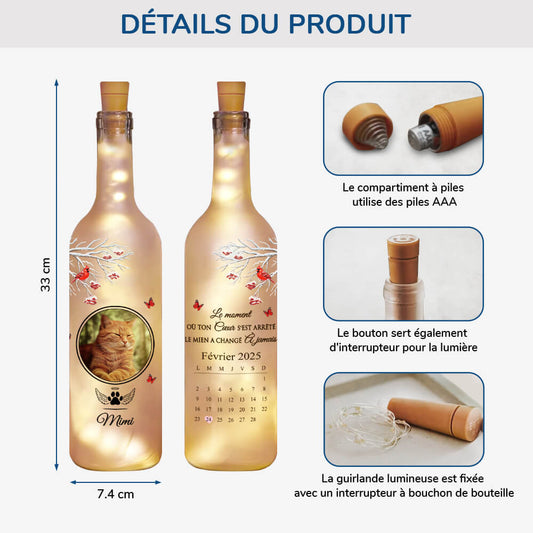 3904LFR2 bouteille lumineuse personnalisee cest le moment ou cadeau commemoratif chat 3904L_5097fa8a 6a5e 483f 980a 20b6c4c9c46a
