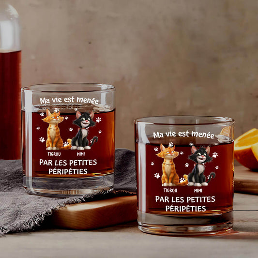 3921IFR1 verre a whisky personnalise avec chat les petites peripeties 3921I_ecf8c1ad 3424 4f8f a66d 6b9d95240494
