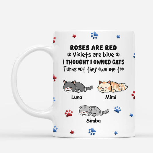3979MFR1 mug personnalise avec chat ils me possedent empreintes 3979MKH5D
