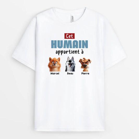 3989AFR1 tee shirt personnalise chien cet humain appartient a design cartoon 3989ATH5C