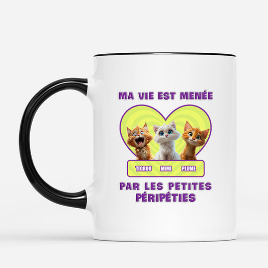 4057MFR2 mug personnalise avec chat les petites peripeties humour 4057mkk5d