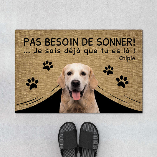 4291DFR1 paillasson personnalise chien pas besoin de sonner 4291d8q3c