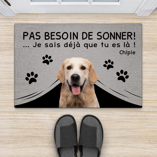 4291DFR2 paillasson personnalise chien pas besoin de sonner 4291d8q3c