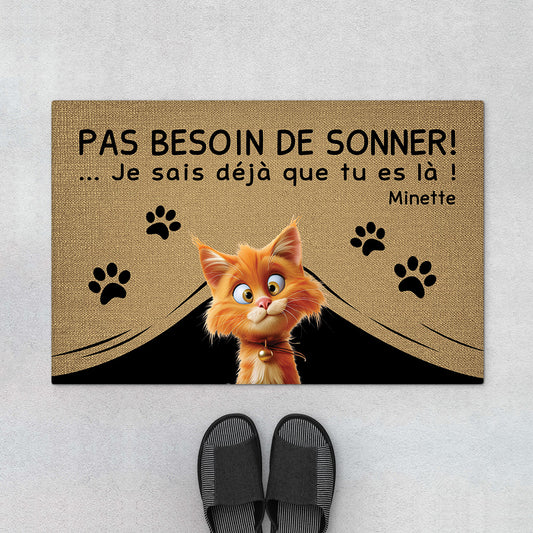 4334DFR1 paillasson chat personnalise pas besoin de frapper version vintage design cartoon 4334d8q5d