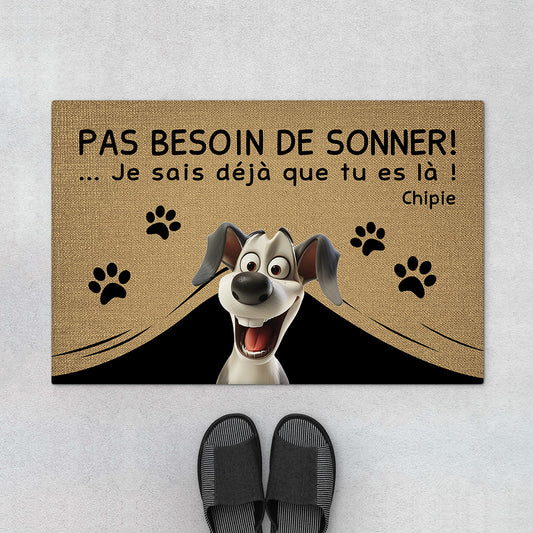 4334DFR1 paillasson chien personnalise pas besoin de frapper version vintage design cartoon 4334d8q5c