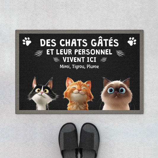 4414DFR1 paillasson personnalise chat dessin humour 4414d