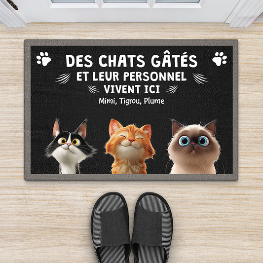 4414DFR2 paillasson personnalise chat dessin humour 4414d