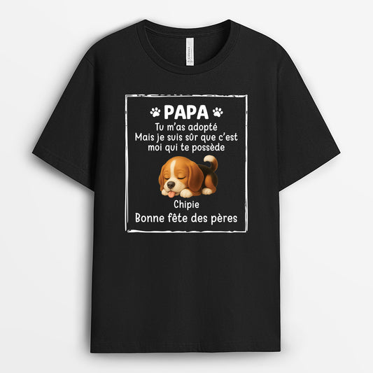 4878AFR1 tee shirt chien cadeau fete des peres personnalise c_est moi qui te possede 4878akymc