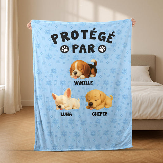 5041BFR2 plaid personnalise avec chien protege par 5041b3gac