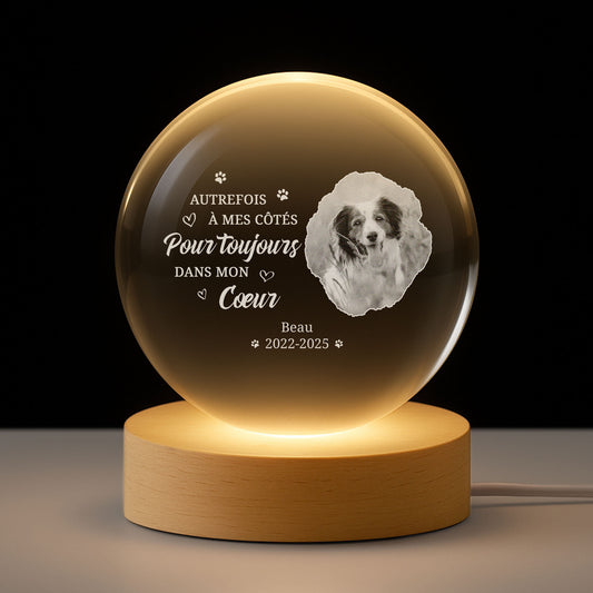 5251LFR1 veilleuse boule de cristal personnalisee avec photo commemorative chienchat toujours dans mon coeur 5251l8v5c
