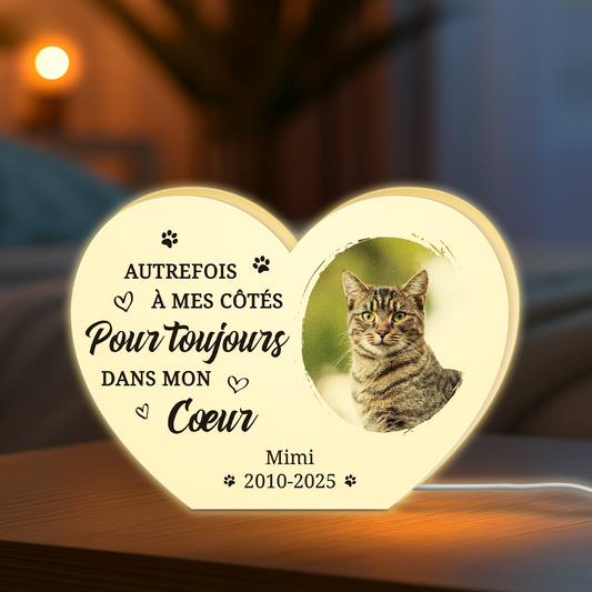 5251LFR2 lightbox personnalisable toujours dans mon coeur cadeau commemoratif chien 5251l8h5c