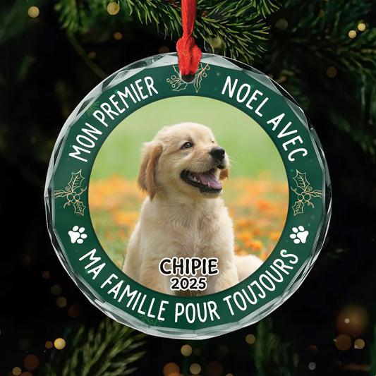 5353OFR1 orement en verre personnalise chien mon premier noel dans ma maison pour toujours 5353otgmc_fd7952a9 0a29 4845 b39c 629ffcc40a85