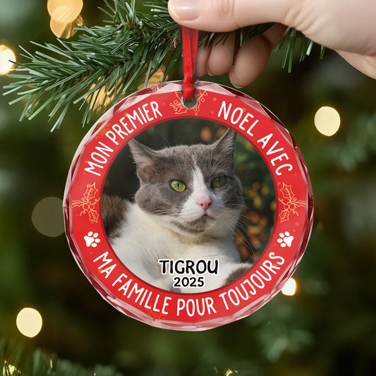 5353OFR2 orement en verre personnalise chien mon premier noel dans ma maison pour toujours 5353otgmc_e5bad01a d9ea 4a42 8d40 c295877f8df1