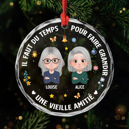 5367OFR1 ornement en verre personnalise il faut du temps pour faire grandir une vieille amitie noel design cartoon 5367o6vcf