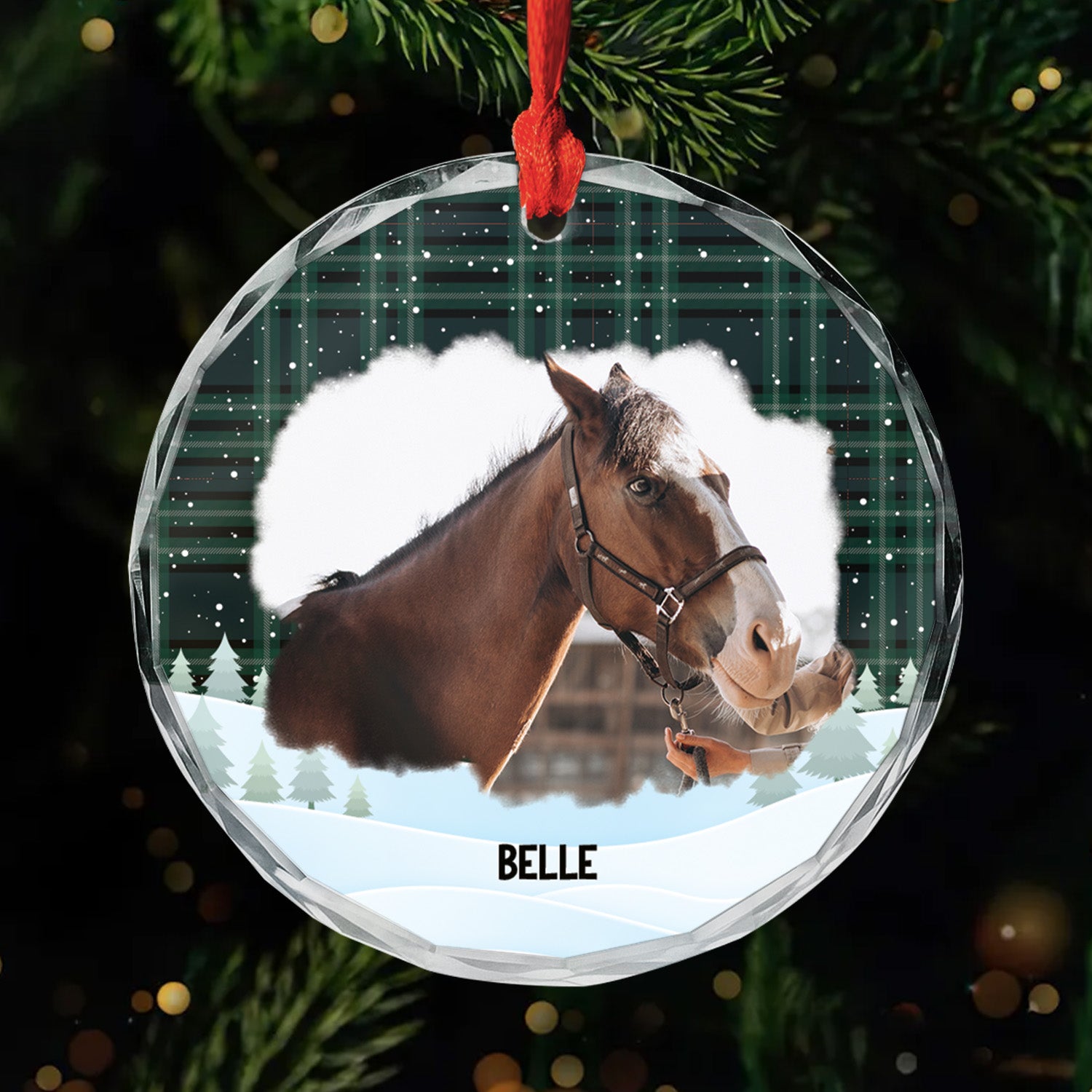 5387OFR2 ornement en verre noel carreaux personnalise cheval 5387o6vau