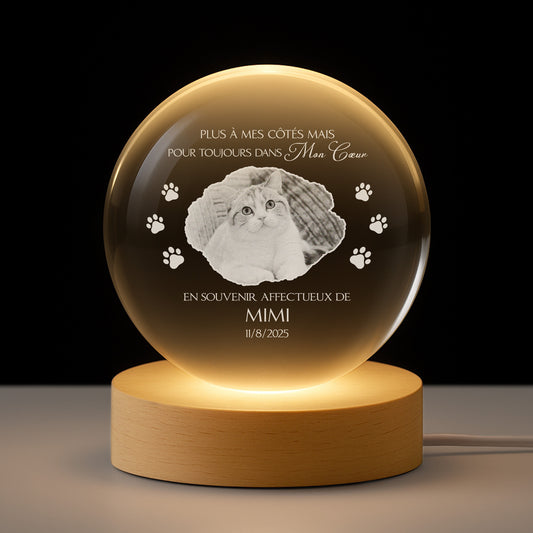 5408LFR1 veilleuse boule de cristal personnalisee avec photo commemorative chat toujours dans mon coeur 5408lkq5d_53684256 aeeb 47b6 85c5 8af9168ae37b