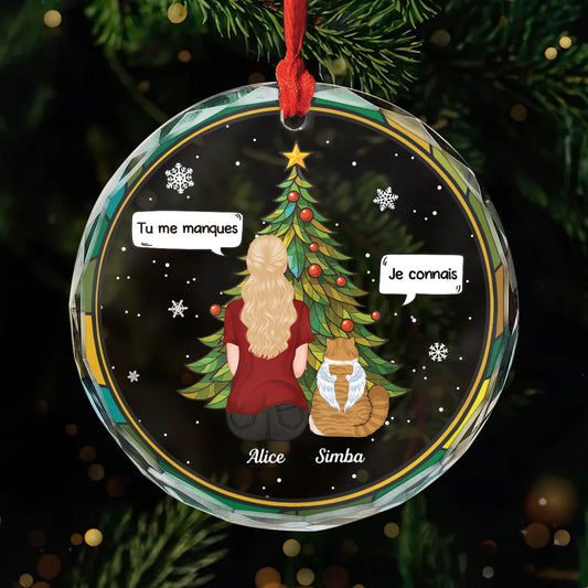5452OFR1 ornement en verre personnalise tu me manques chat noel 5452okqnd