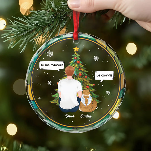 5452OFR2 ornement en verre personnalise tu me manques chat noel 5452okqnd