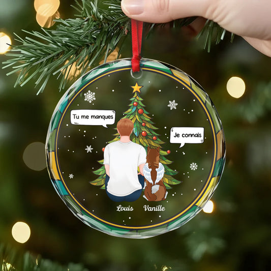 5452OFR2 ornement en verre personnalise tu me manques chien noel 5452okqnc