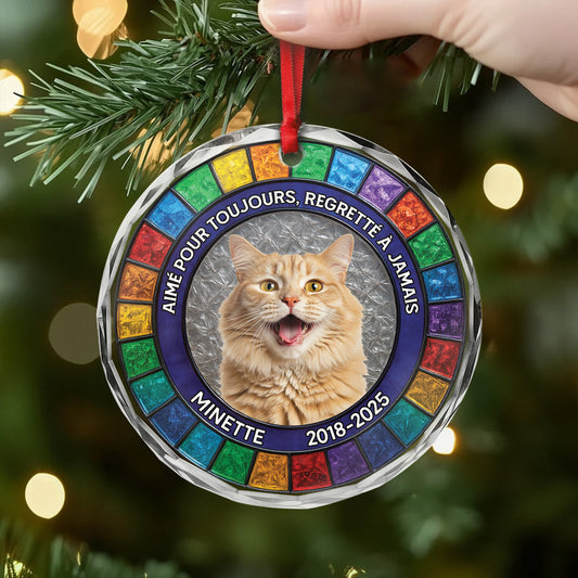 5530OFR2 ornement en verre chien commemoratif personnalise mon fidele compagnon 5530o3uzc