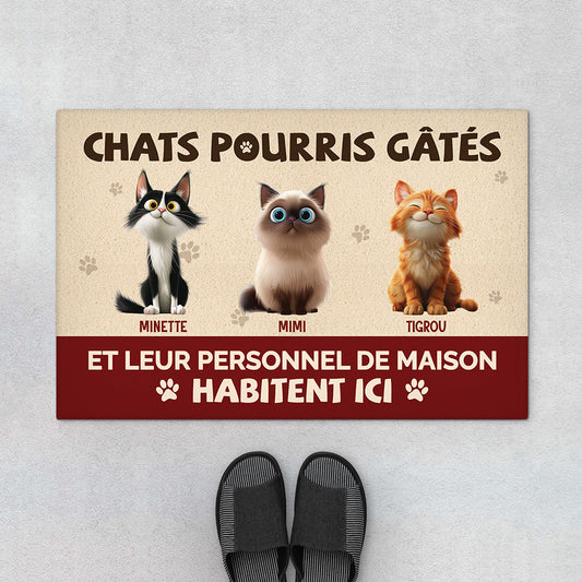 5536DFR1 paillasson personnalise chat chat gate pourri 5536dtqad_652606e8 470e 44f8 8611 c75fe5e43663