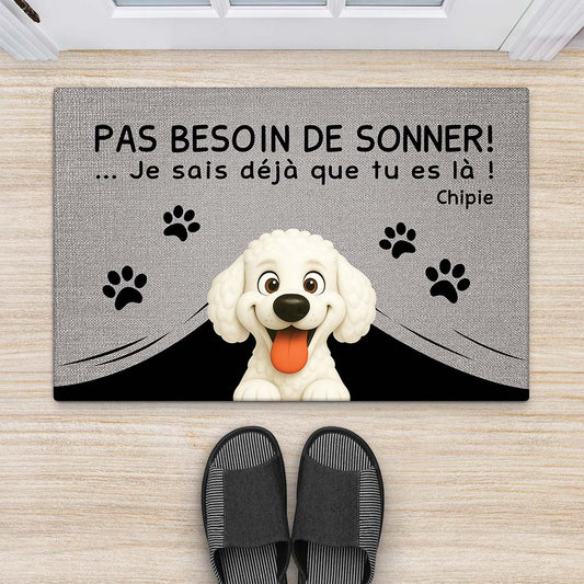 5969DFR2 paillasson personnalise chien pas besoin de sonner 5969dkz0c_8695ffc3 9f7f 452b 8a65 47752fd2cea4