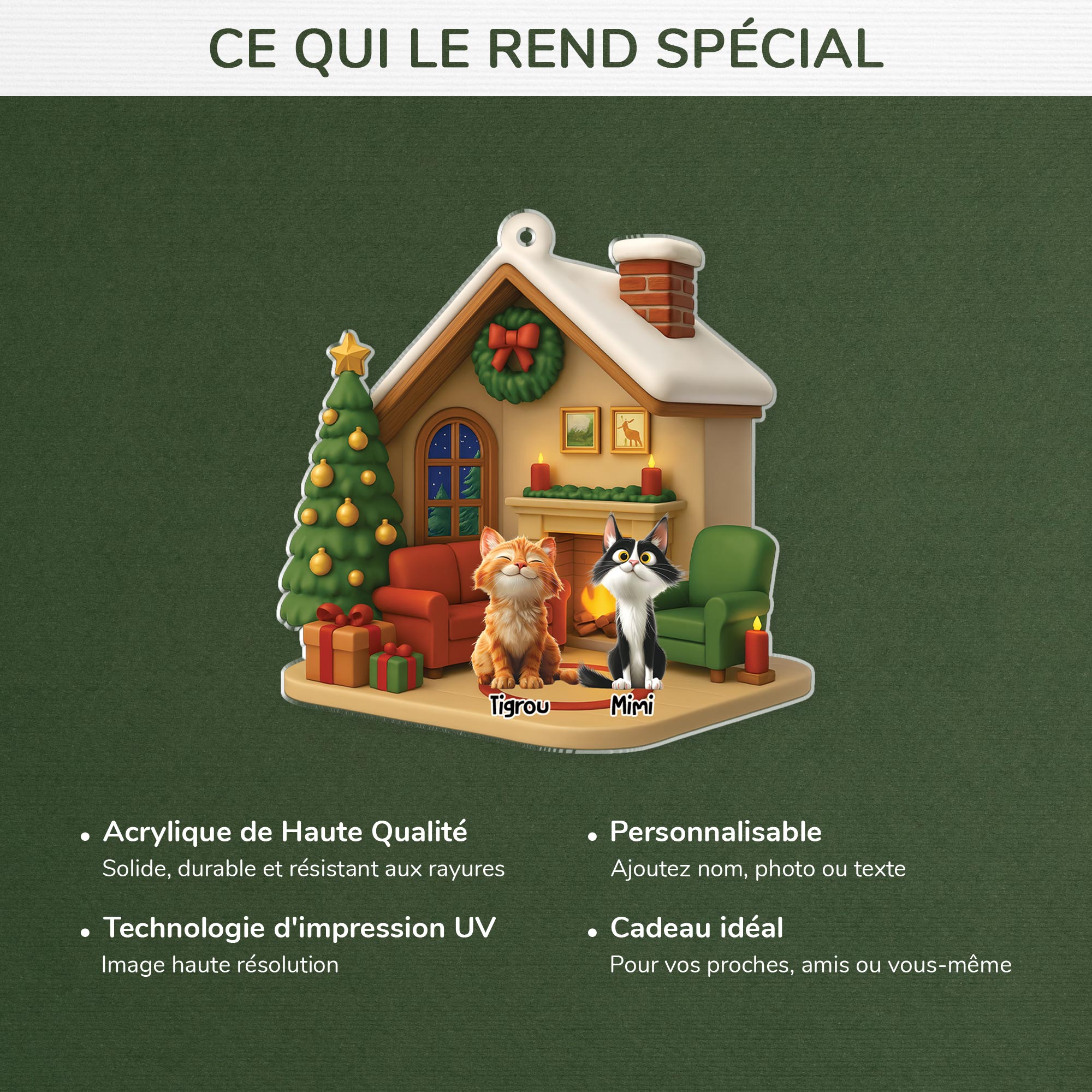 6013OFR1 ornement acrylique personnalise avec chat salon de noel 6013o86ac4