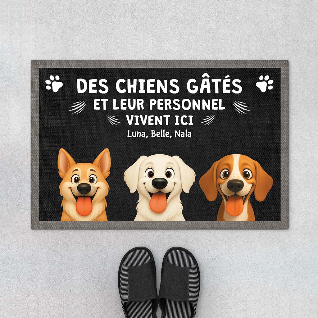 6047DFR1 paillasson personnalise chien chien pourri gate 6047dtl5c