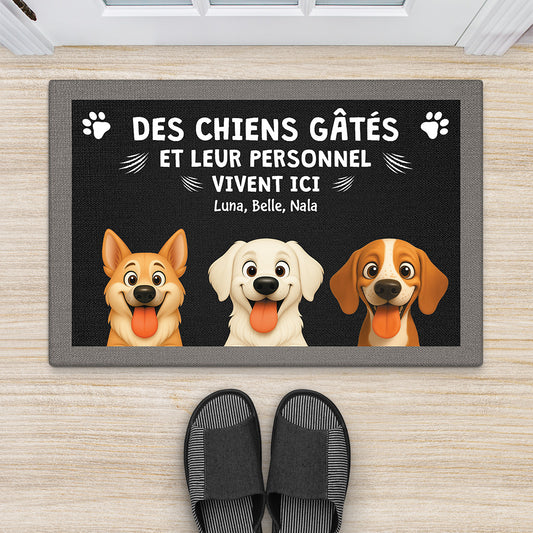 6047DFR2 paillasson personnalise chien chien pourri gate 6047dtl5c