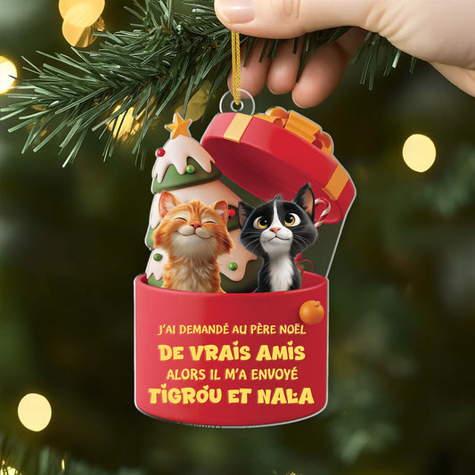 6098OFR2 effet dimpression 3d ornement acrylique personnalise pere noel a envoye un chat 6098oklad