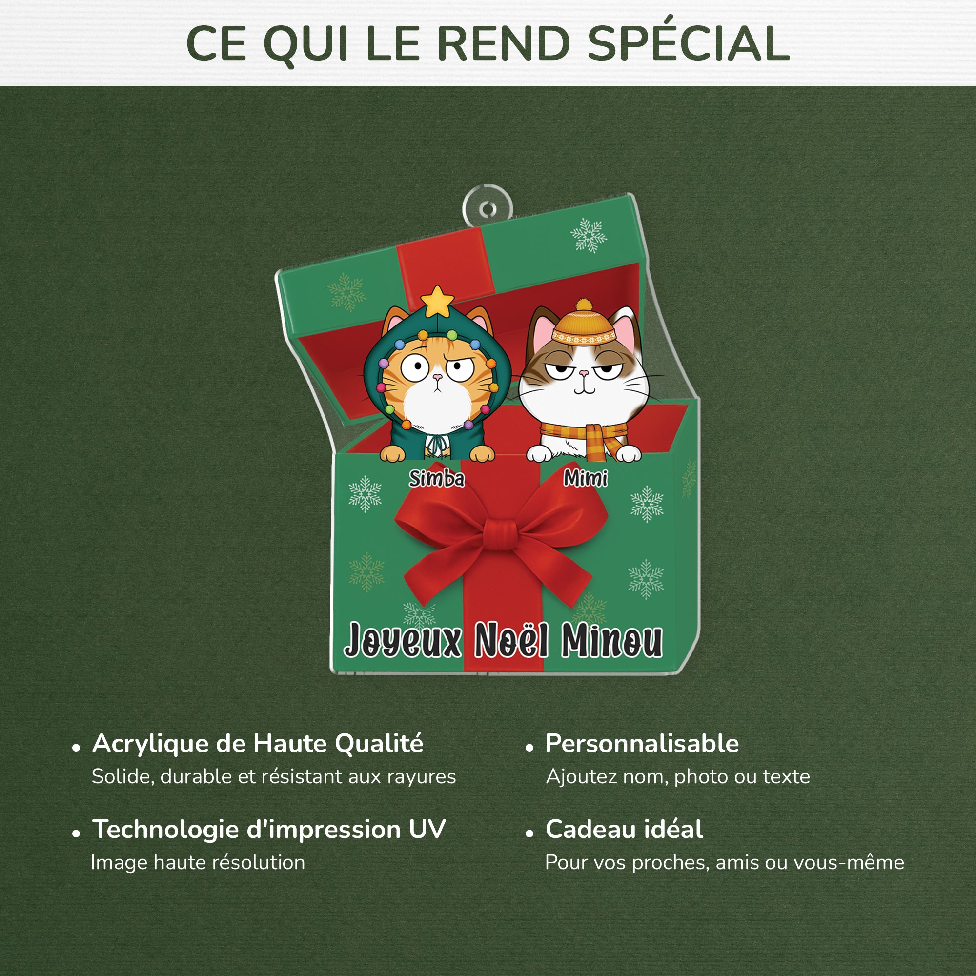 6106OFR4 effet dimpression 3d ornement acrylique personnalise avec chat joyeux noel minou 6106oktnd