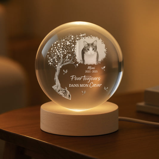6138LFR2 veilleuse boule de cristal personnalisee commemorative avec photo chien et chat quand je te manque 6138l3zcb