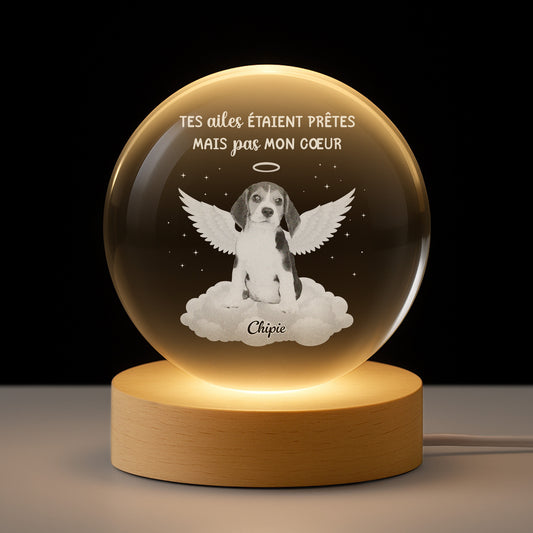 6260LFR1 veilleuse boule de cristal personnalisee pour chien commemorative avec photo tes ailes etaient pretes 6260lkvzc