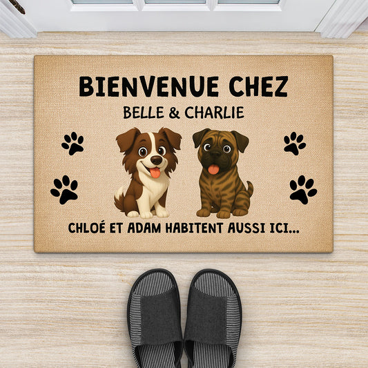 6783DFR2 paillasson personnalise chien bienvenue chez les chiens 6783dkv5c