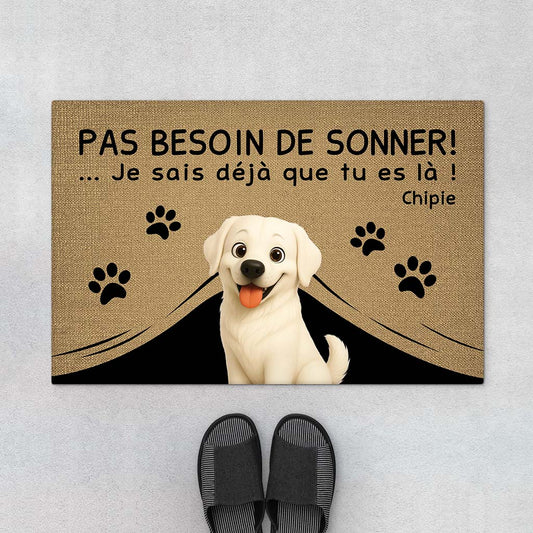6787DFR1 paillasson personnalise chien mon chien sait que tu es la 6787dkv5c
