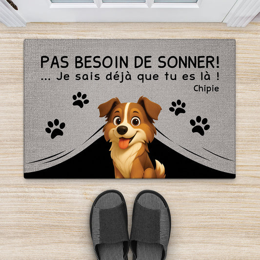 6787DFR2 paillasson personnalise chien mon chien sait que tu es la 6787dkv5c