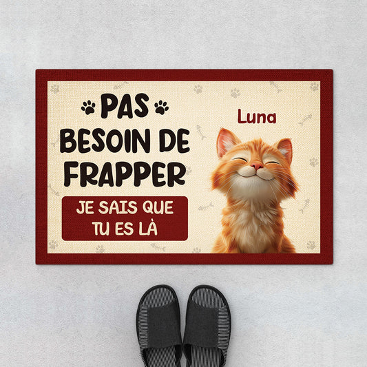 7285DFR1 paillasson personnalise chat pas besoin de frapper je sais 7285d8kcd