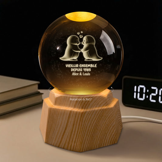 7414LFR1 veilleuse boule de cristal 3d personnalisee vieillir ensemble couple manchot 7414l8qng