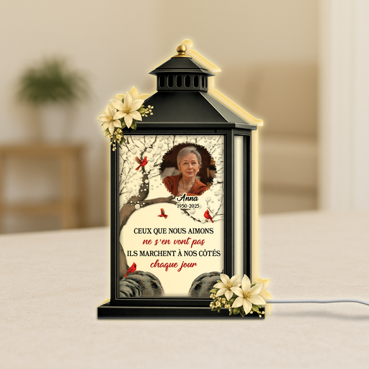 7745LFR1 lightbox personnalisable avec photo commemorative mon papa maman a mes cotes 7745lchta