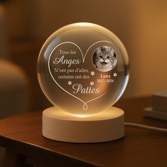 9127LFR2 boule cristal lumineuse personnalisee photo commemorative chienchat tous les anges nont pas dailes 9127l3fpc_6445ae7d b531 4e6e 8d21 882a91642779