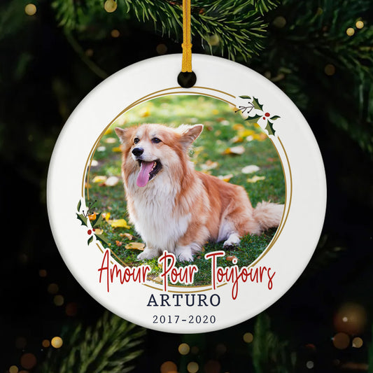 FR1_0d7f44ce a66b 40b6 b909 c148232c35bb